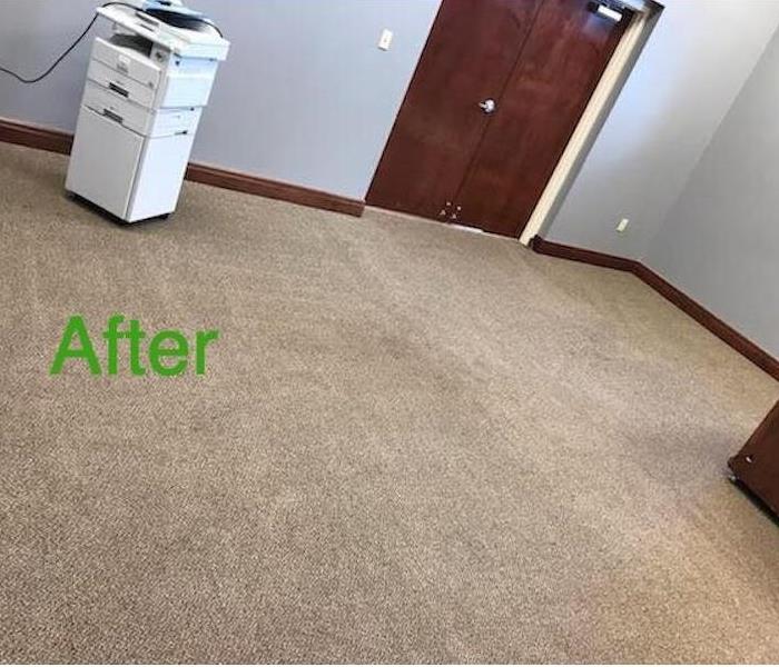 Clean Carpet 